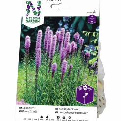 Vårlök Nelson Garden Rosenstav Liatris Spicata Lila