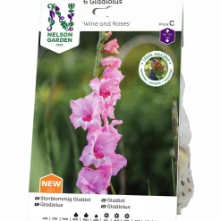 Vårlök Nelson Garden Storblommig Gladiolus Wine & Roses Rosa