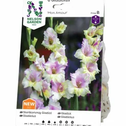 Vårlök Nelson Garden Storblommig Gladiolus Mon Amour Vitrosa