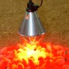 Värmearmatur Kerbl max 175W E27 Ø210mm