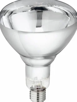 Värmelampa Philips E27 ofärgad 150W