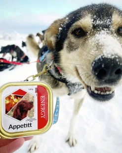 Våtfoder Appetitt Energy 150g