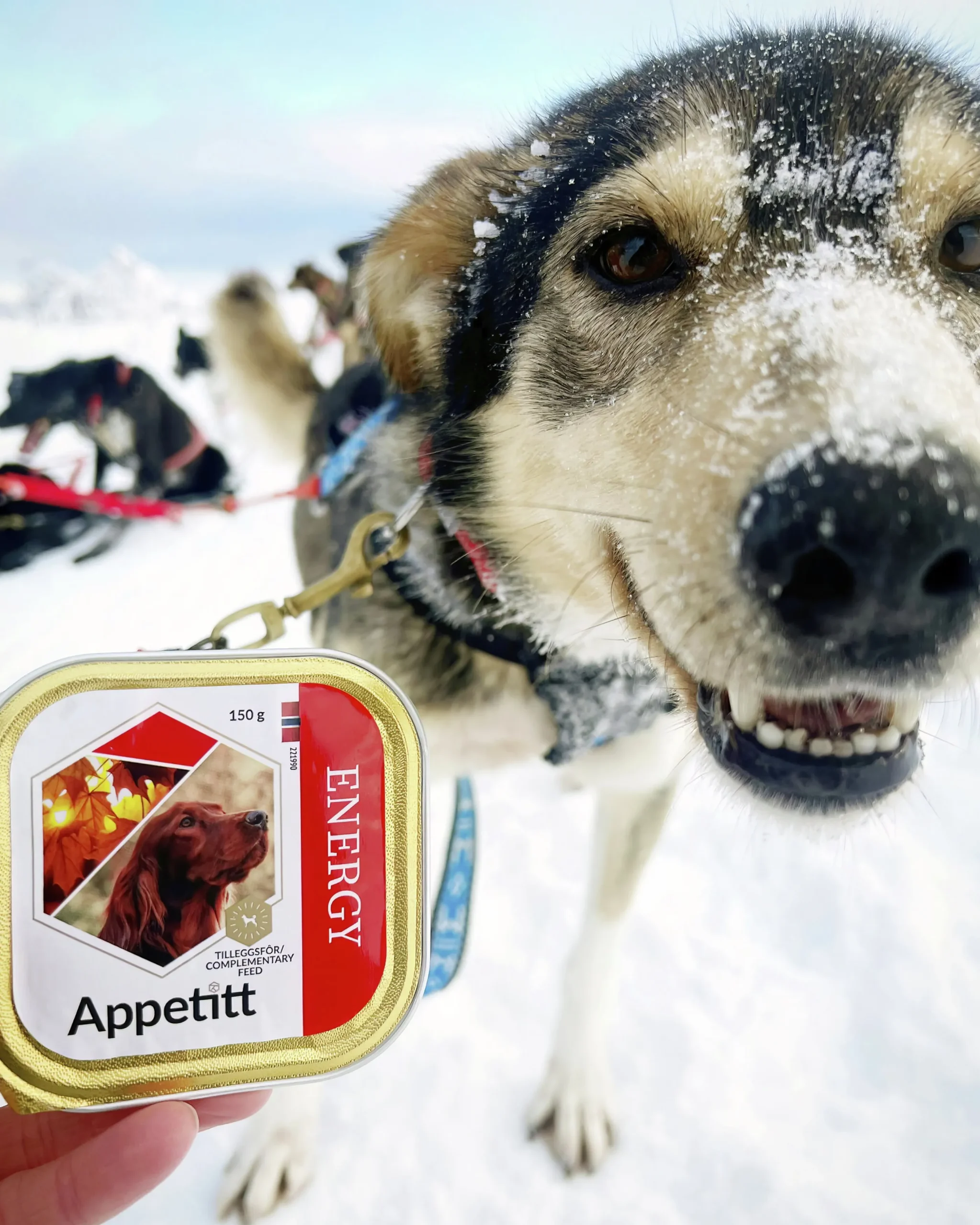 Våtfoder Appetitt Energy 150g