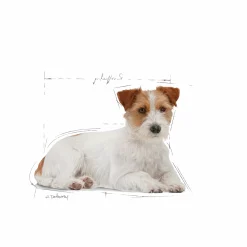 Våtfoder Royal Canin Mini Ageing 12x85g