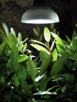 Växbelysning Nelson Garden LED Lampa E27 18W