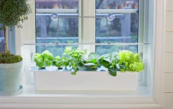 Växtbelysning Nelson Garden LED-ramp ej adapter No.2 23W
