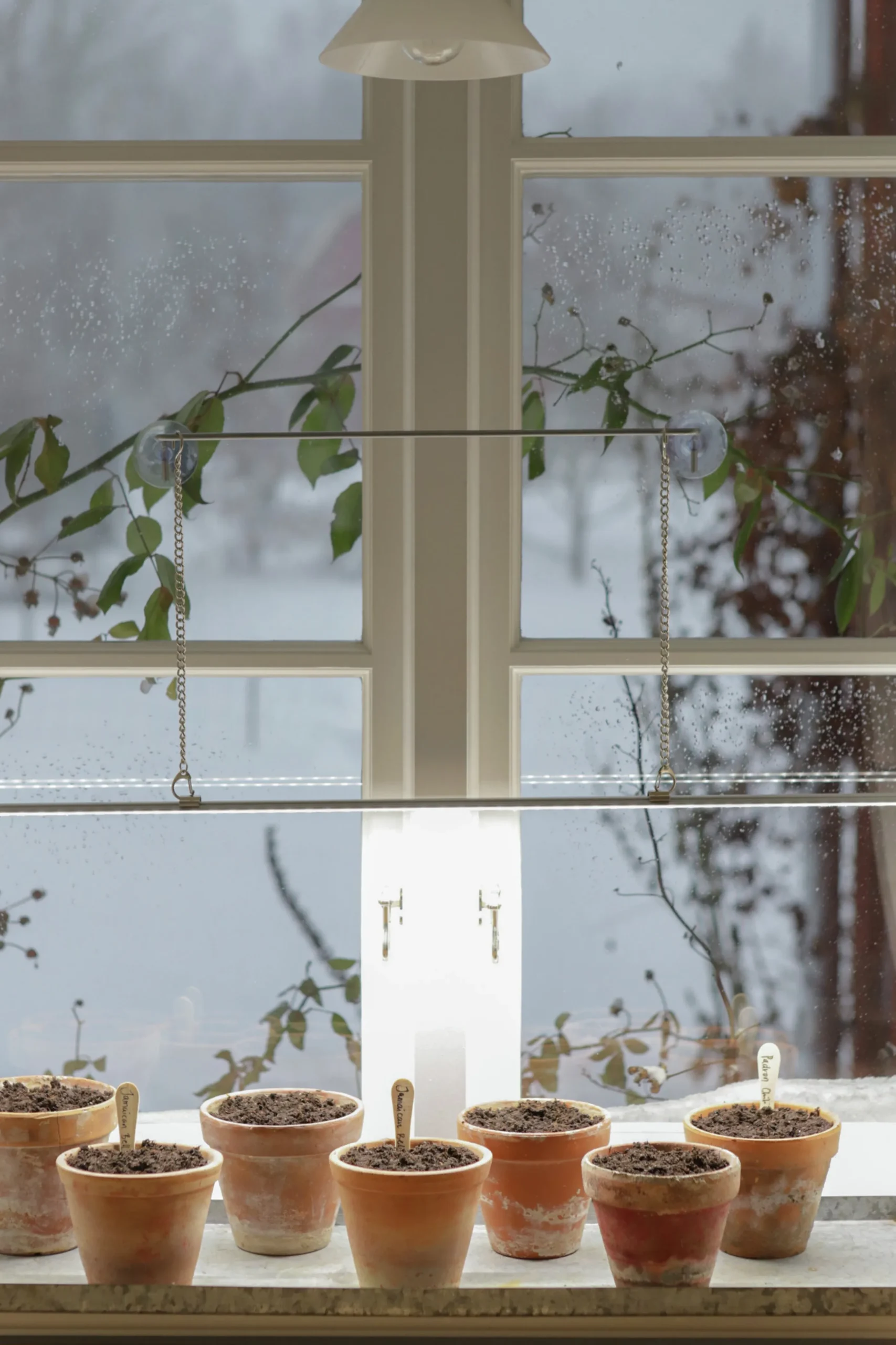 Växtbelysning Nelson Garden LED-ramp m adapter No1 23W
