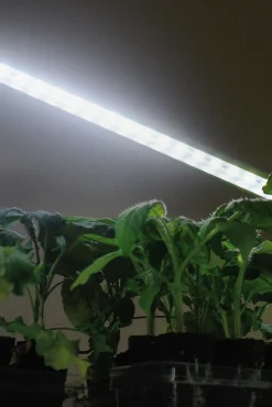 Växtbelysning Nelson Garden LED-ramp m adapter No1 23W