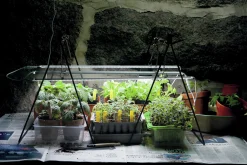 Växtbelysning Nelson Garden LED-ramp m adapter No1 23W
