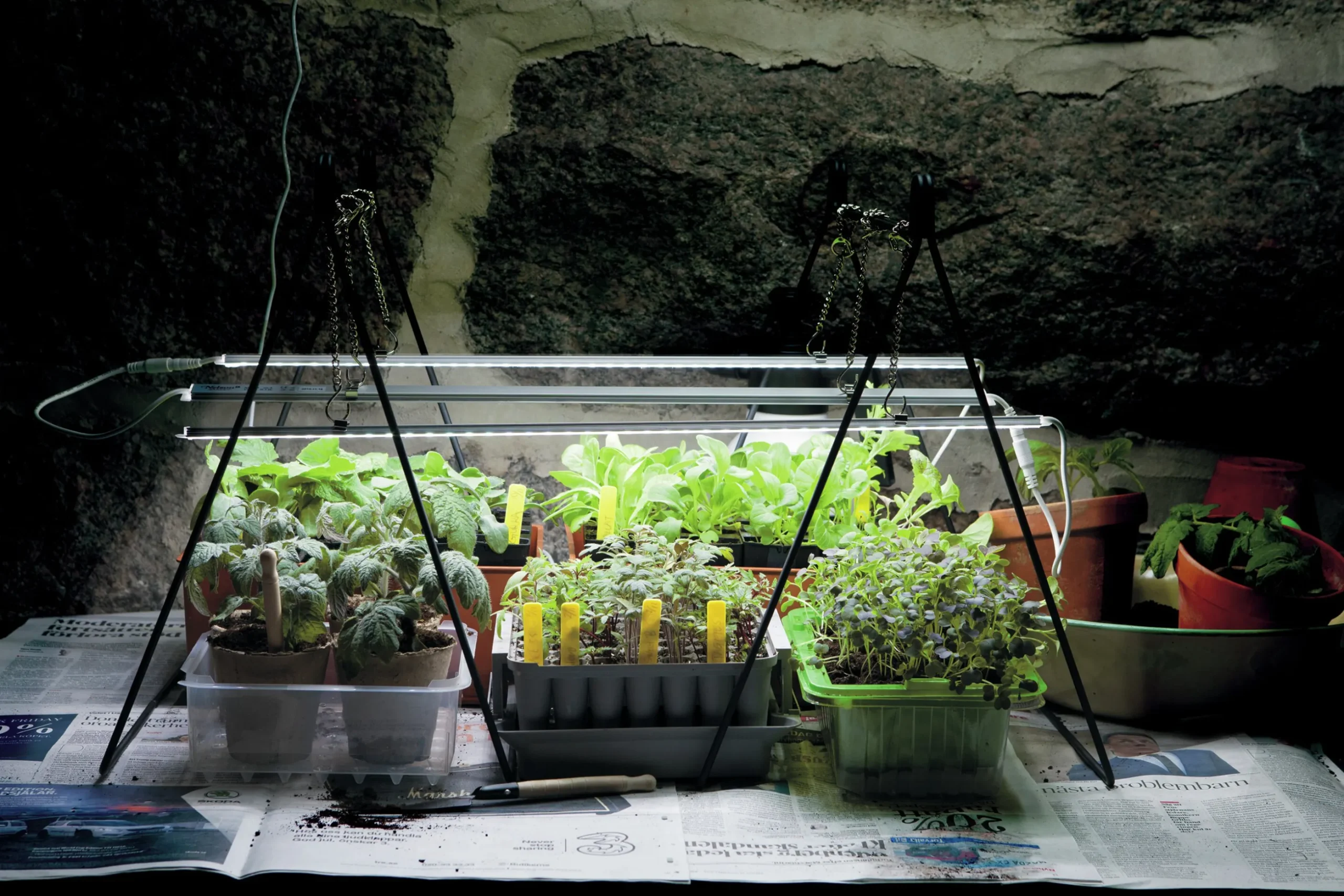 Växtbelysning Nelson Garden LED-ramp m adapter No1 23W