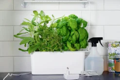 Växtbelysning Nelson Garden LED 15W 39cm