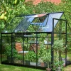 Växthus+Sockel Halls Qube 68 Svart 5,1m2