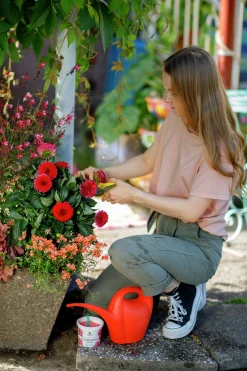 Växtnäring Hasselfors Långtidsverkande 300g