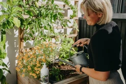 Växtnäring Nelson Garden Pumpflaska 500ml