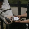 Zinksalva Fair Horse Care 150ml