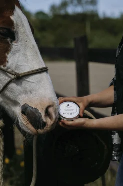 Zinksalva Fair Horse Care 150ml