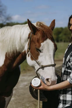 Zinksalva Fair Horse Care 150ml