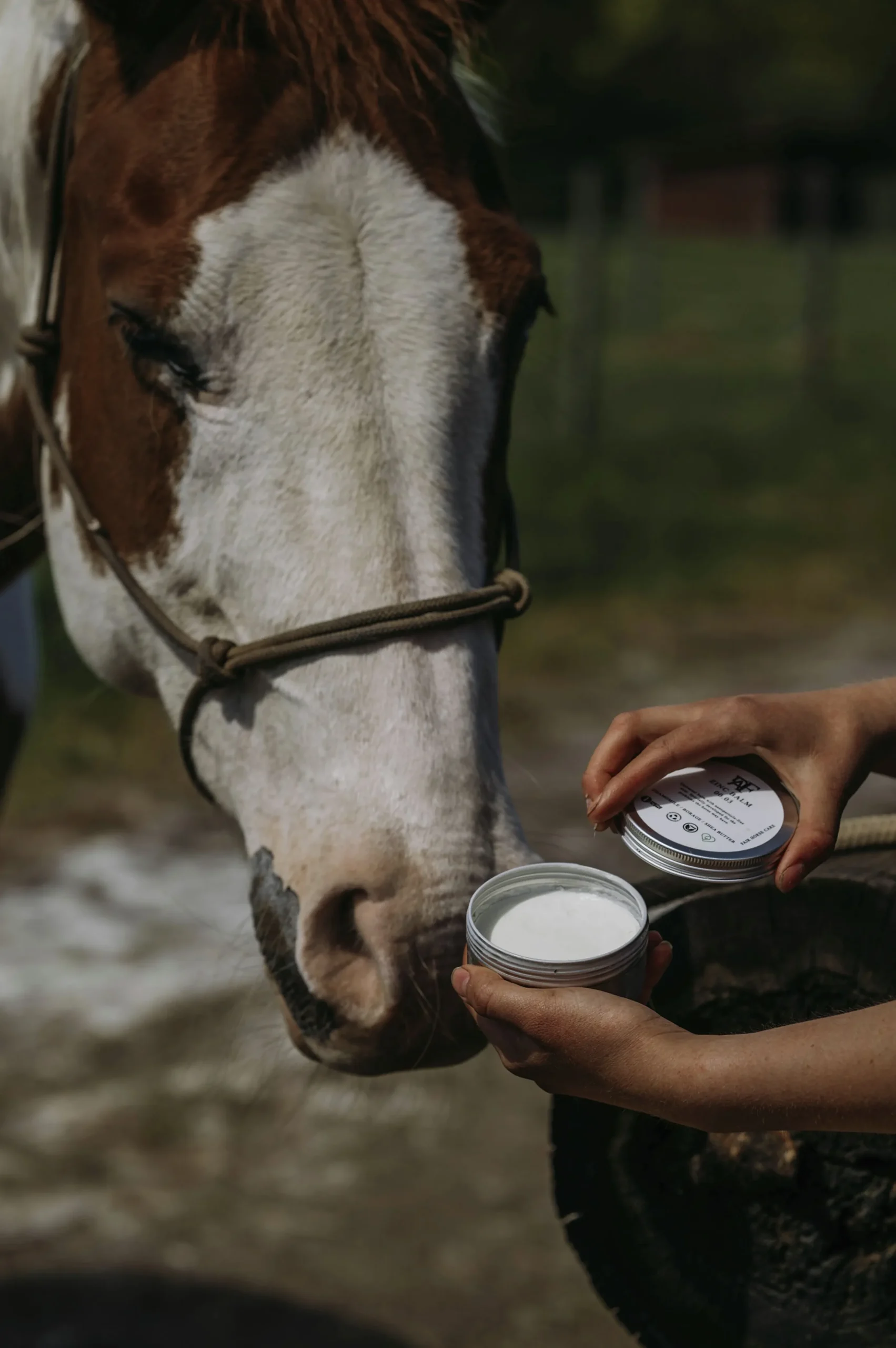 Zinksalva Fair Horse Care 150ml