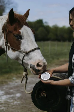 Zinksalva Fair Horse Care 150ml